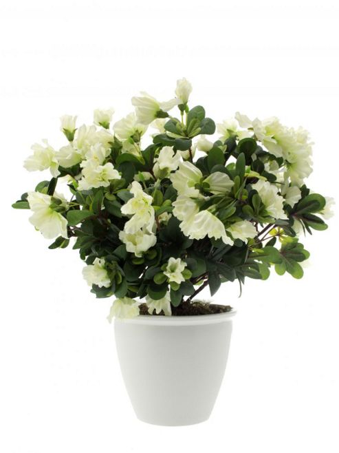 Image of Artificial 40cm Cream Azalea Plant