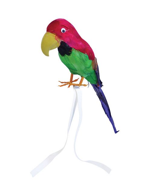 Image of Feathered Parrot - 42cm