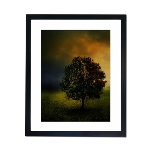 Image of Culture Decor Lone Oak Wall Art