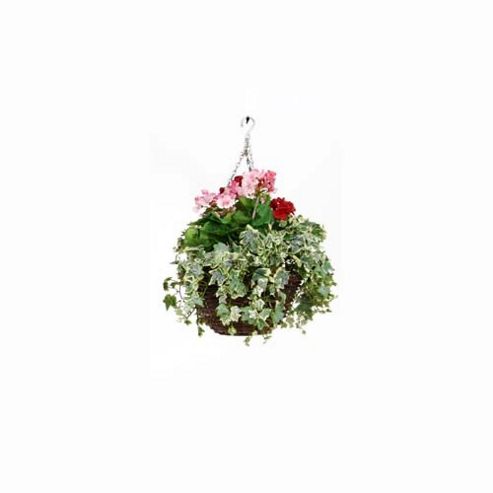 Image of Artificial Red Geranium, Pink Geranium And Variegated Ivy Display In A 10" Round Willow Hanging Basket