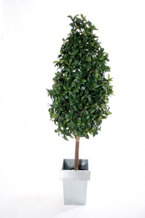 Image of Artificial 5ft Bay Laurel Tree Pyramid Topiary