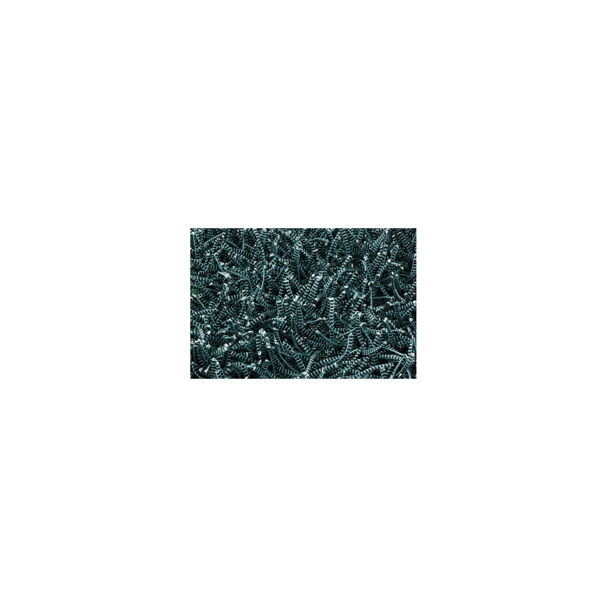 Linie Design Electric Turquoise Shag Rug - 200cm x 140cm at Tescos Direct