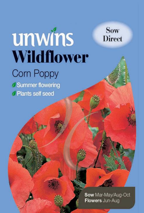 Image of Wildflower Corn Poppy