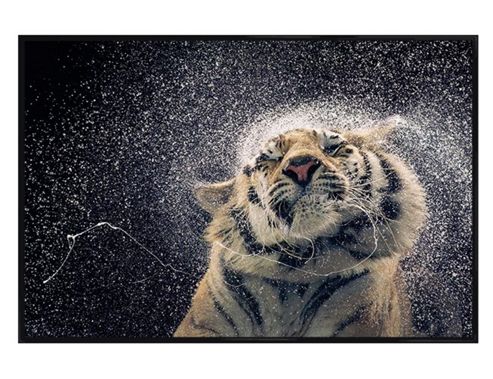Image of Tim Flach Gloss Black Framed Kanja Poster
