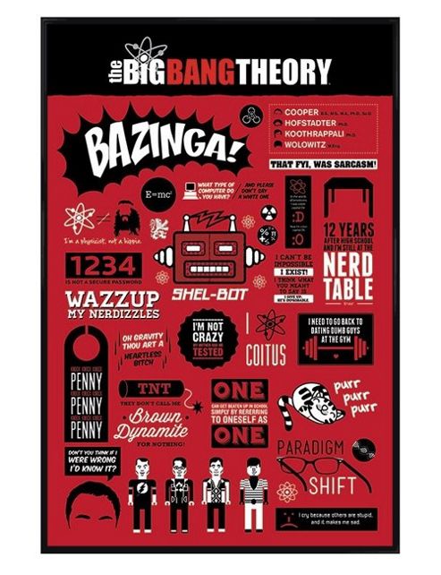 Image of Gloss Black Framed The Big Bang Theory Infographic Poster