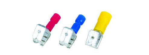 Image of Piggy-back Yell 10 Pack
