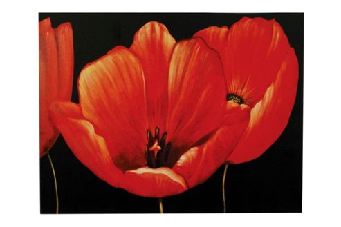 Image of Premier Housewares Poppy Printed Canvas Art