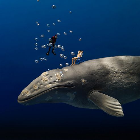 Image of Holy Mackerel Deep Relaxation With Whale Greetings Card