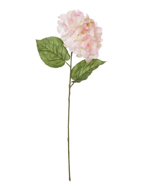 Image of Linea Pink Hydrangea Single Stem