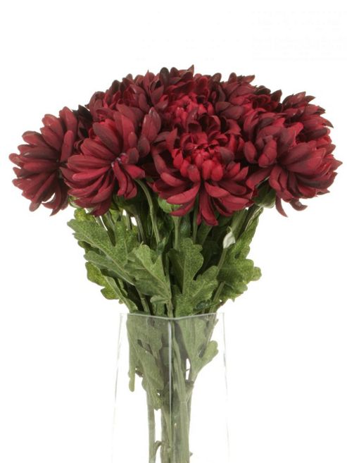 Image of Artificial 55cm Single Stem Double Headed Burgundy Chrysanthemums X 12