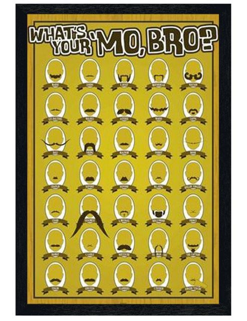 Image of Moustache Types Black Wooden Framed What's Your Mo Bro? Poster