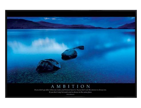 Image of Nora Roberts Quote Gloss Black Framed Ambition Poster