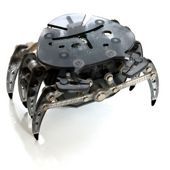 Hexbug Crab - Black