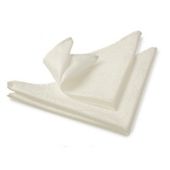 Blue Canyon Rosetta Napkin Set - Ivory