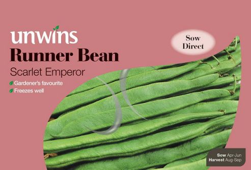 Image of Runner Bean Scarlet Emperor