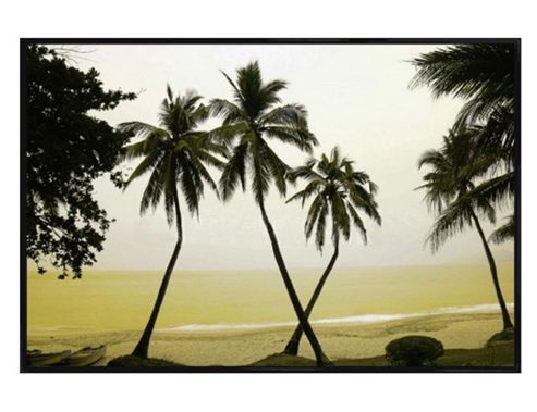Image of Hainan Island, China Gloss Black Framed Palm Trees Poster