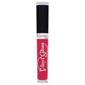 Rimmel Vinyl Lip Gloss Pin Up