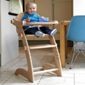Tippitoes Aristo Wooden Highchair