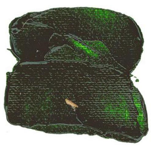 Image of Reeves Acrylic 400ml Grass Green