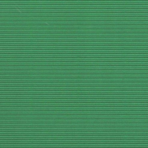 Image of Canson Craft Corrugated Roll Light Green