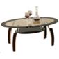 Elena Black and Clear Glass Coffee Table