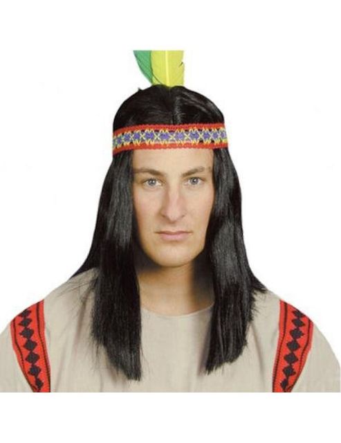 Image of American Indian Wig With Feathers