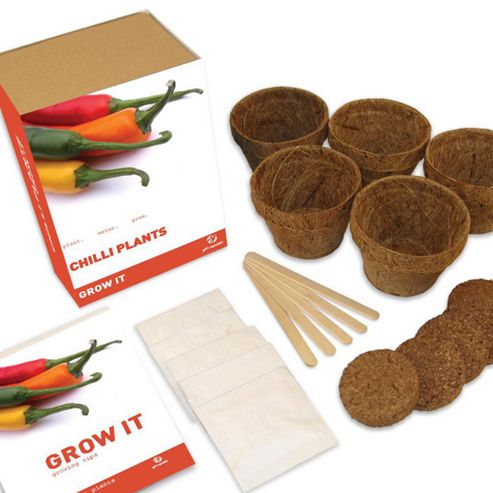 Image of Grow It - Chilli Plant
