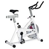 Kelly Holmes Aerobic Exercise Bike