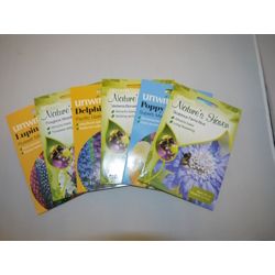 Herbaceous Border Collection