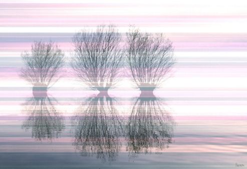 Image of Parvez Taj Three Trees Wall Art - 41 Cm H X 61 Cm W X 5 Cm D
