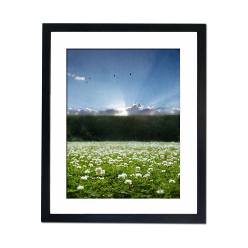 Image of Culture Decor Clover Field Wall Art