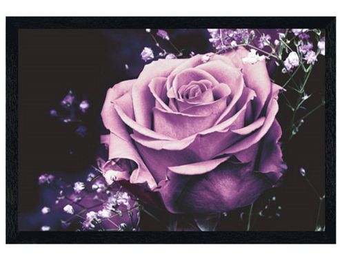 Image of Black Wooden Framed Lilac Rose Poster