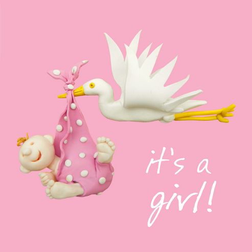 Image of Holy Mackerel Stork Baby Girl Greetings Card