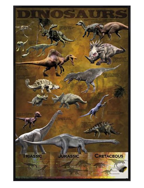 Image of Dinosaurs Educational Gloss Black Framed From The Triassic, Jurassic And Cretaceo Poster