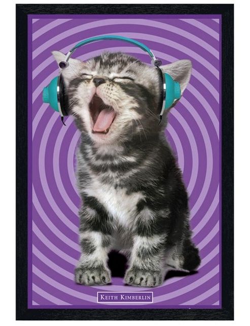Image of Keith Kimberlin Black Wooden Framed Dj Kitten Poster