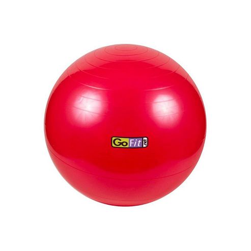 Image of Gofit Gym Ball With Pump, Ball Plugs & Poster 55cm Red