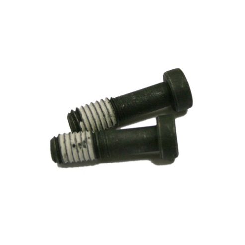 Image of Avid Lever Clamp Bolt For Juicy Non-split Clamp Lever (2 Pcs)