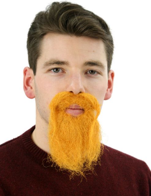 Image of Ginger Beard