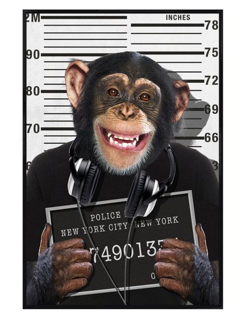 Image of Cheeky Chimp Gloss Black Framed Mugshot Poster