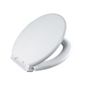 Showerdrape Seville Slow Close Toilet Seat White