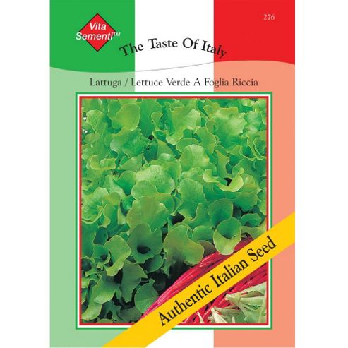 Image of Lettuce 'verde A Foglia Riccia' (loose-leaf) - Vita Sementi&reg; Italian Seeds - 1 Packet (7000 Lettuce Seeds)