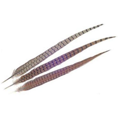 Image of Pheasant Feathers