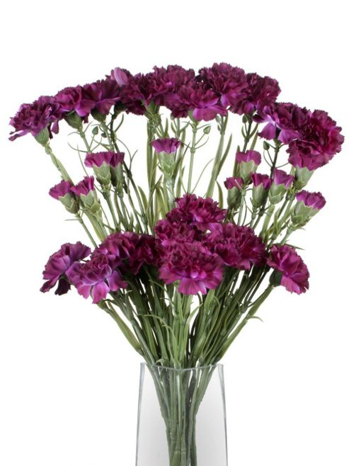 Image of Artificial 70cm Single Stem Multi Headed Purple Carnations X 12