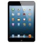 iPad Mini  with Wi-Fi 64GB Black