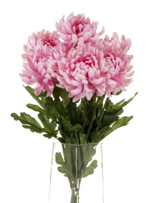 Image of Artificial 55cm Single Stem Double Headed Pink Chrysanthemums X 6