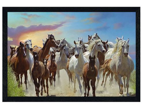 Image of Jim Warren Black Wooden Framed Roaming Free Poster