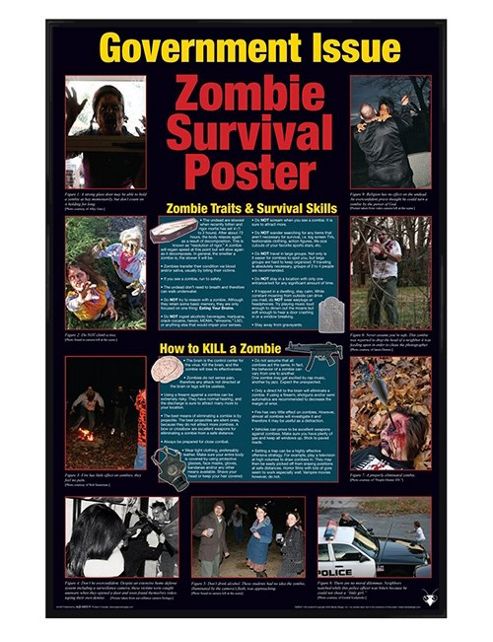 Image of Gloss Black Framed Zombie Survival Poster