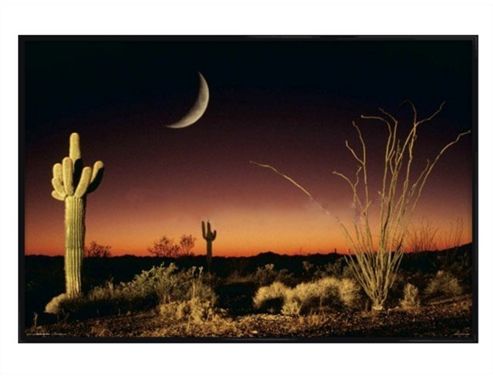 Image of Arizona Landscape Gloss Black Framed Desert Silhouette Poster