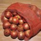 Onion Bags - 10 bags