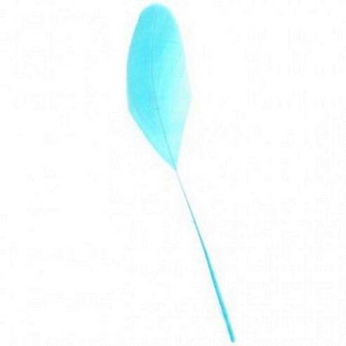 Image of Stripd Coque Turquoise 5 Pk